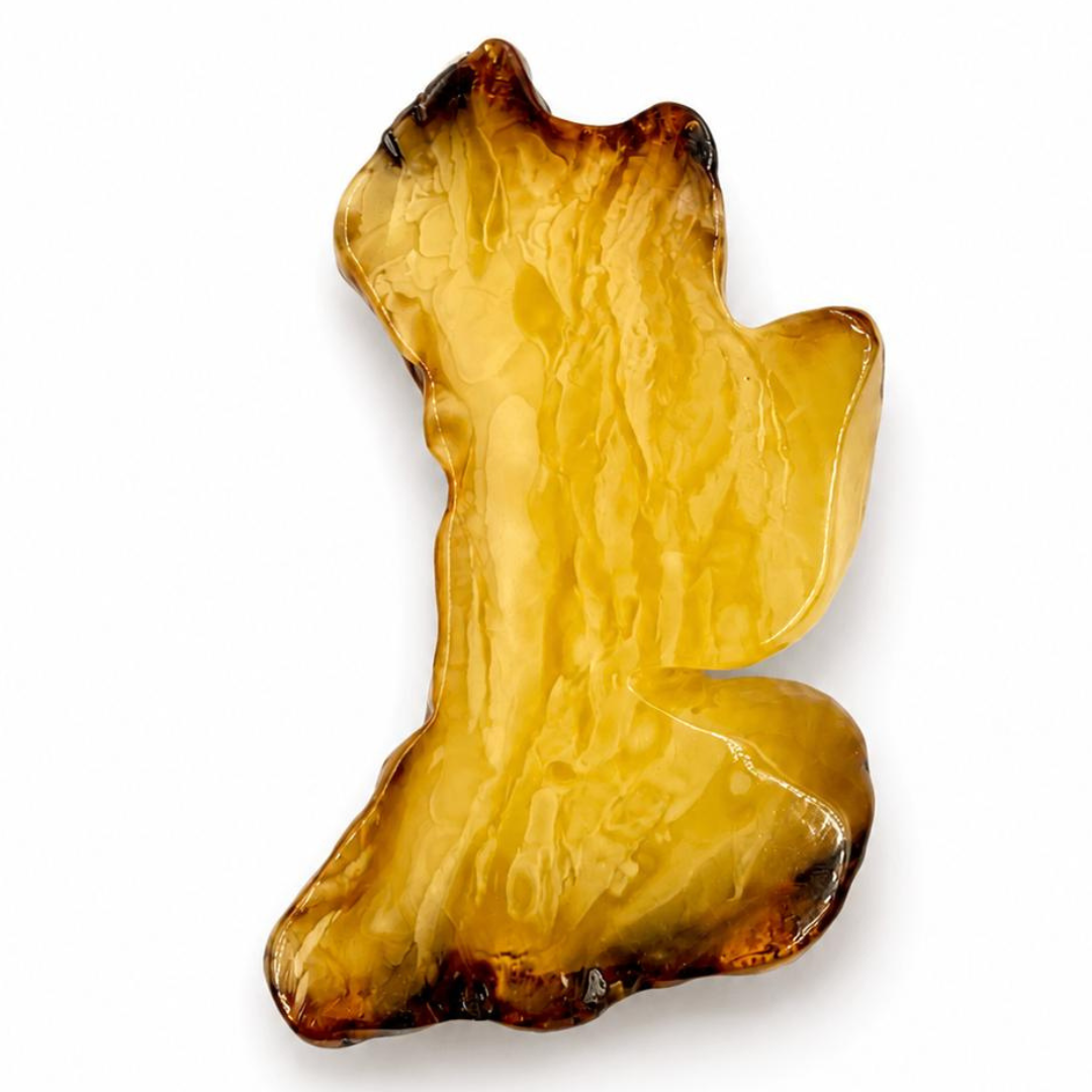 Hand-Carved Baltic Amber Falcon Pendant