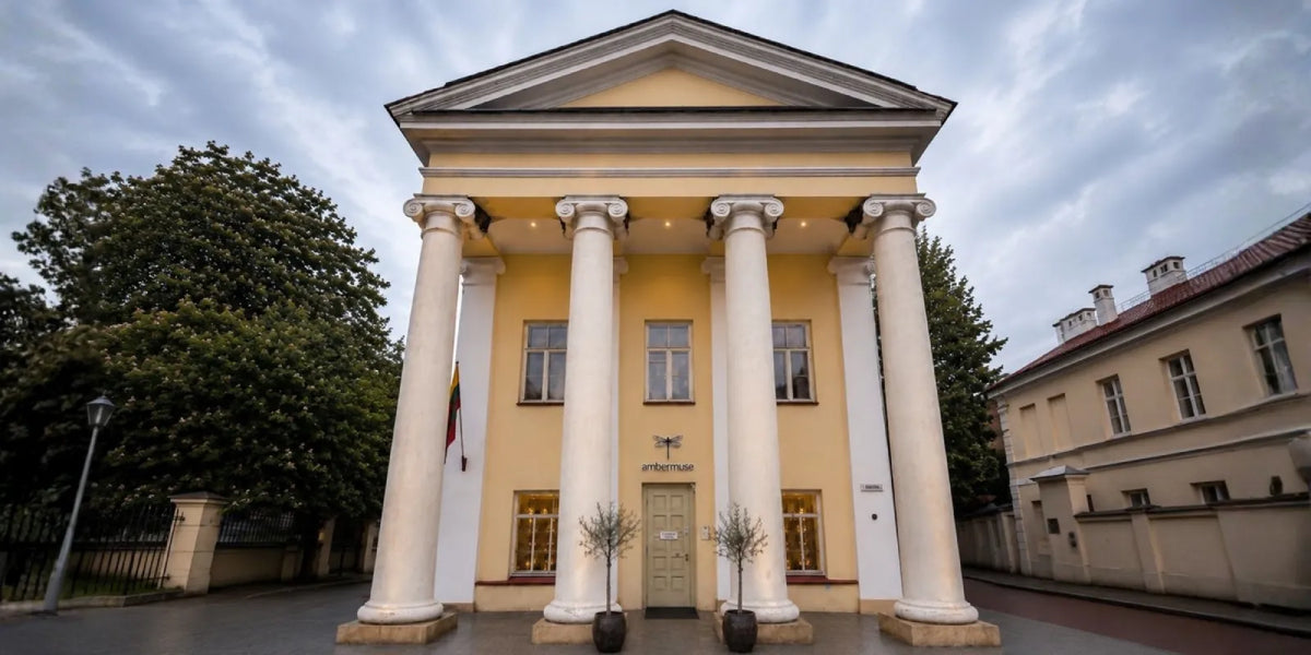 Neoclassical building with columns and a flag on a cloudy day